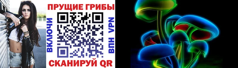 Купить где  Новое Девяткино  Галлюциногенные грибы GOLDEN TEACHER 